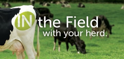 In The Field With Your Herd Hero m