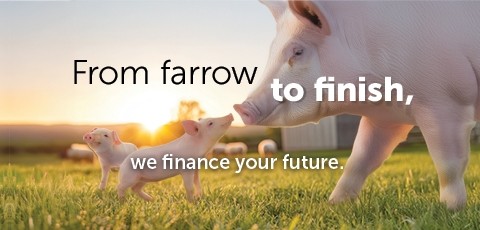 From Farrow to Finish Hero m